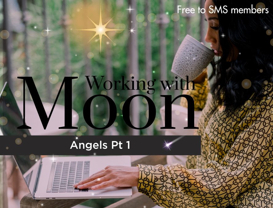 June 2022 – Working with Moon Angels